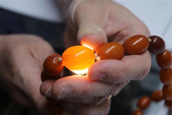 A single strand graduated oval amber bead necklace with 9ct gold clasp, gross weight 62 grams, 60cm.